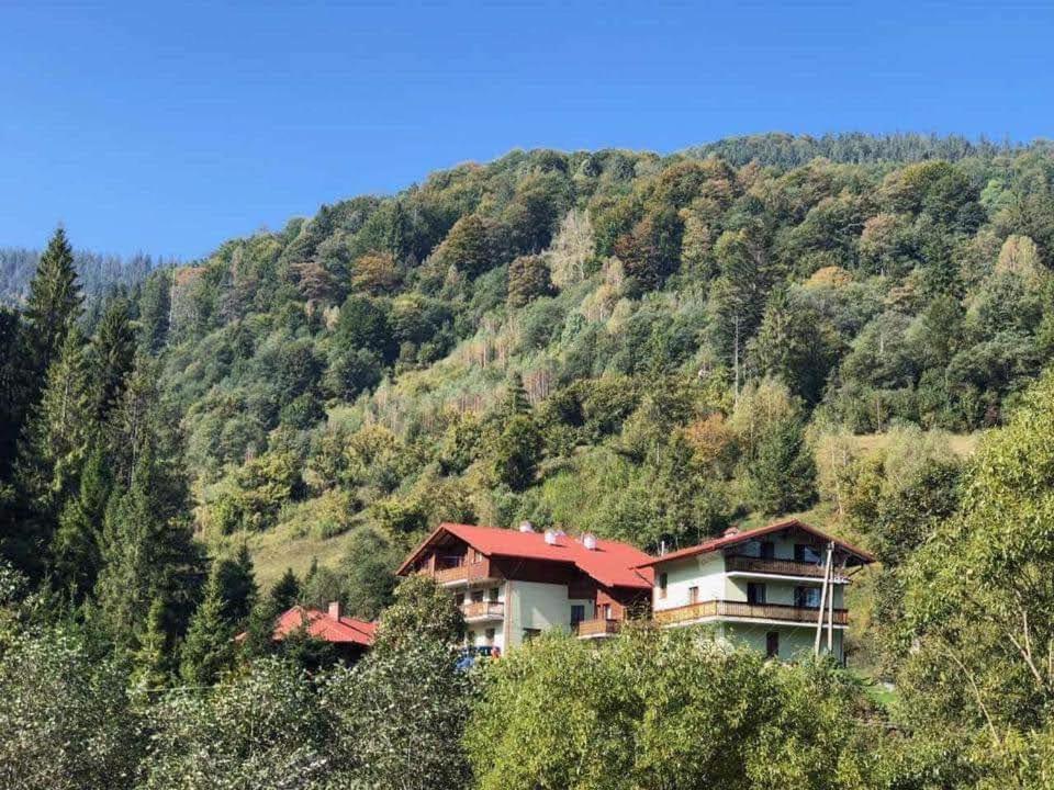 Лісова Казка Hotell Slavske Exteriör bild